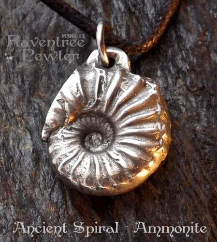 Ancient Spiral - Ammonite #Nature-80