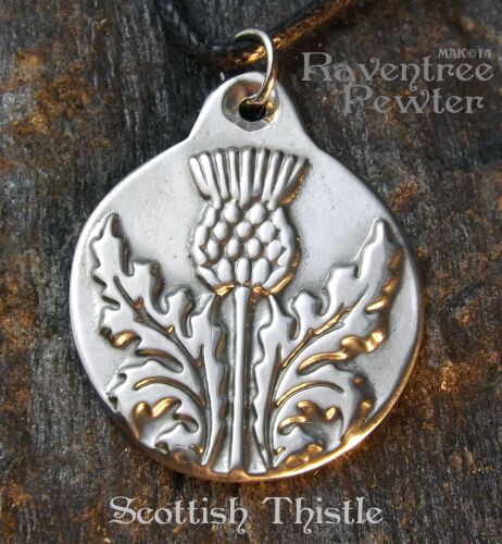 Scottish Thistle #09-ScottishThistle