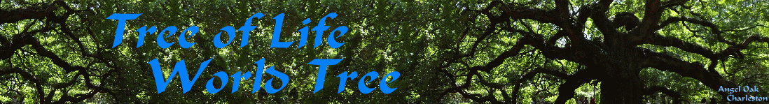 Raventree Pewter - Tree of Life - World Tree - Angel Oak