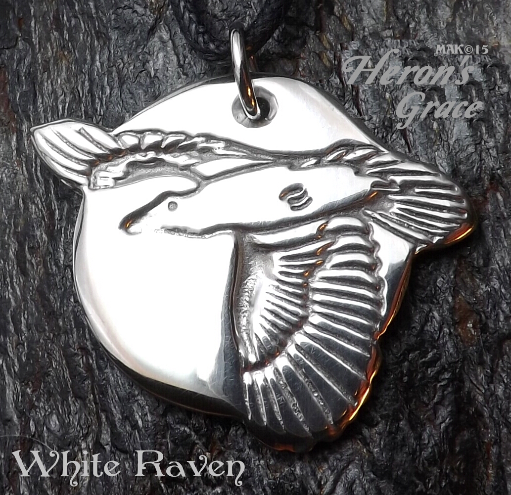 White Raven #WhiteRaven