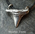 Sharks Tooth - [style B] 08-SharksToothB