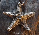 Starfish - Large 072-StarfishLarge