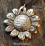 Sunflower Sunflower