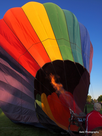 Balloon Festival -1 #02-P8092322