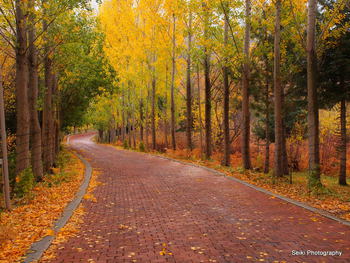 Fall in Sandy Utah #11-PA220837