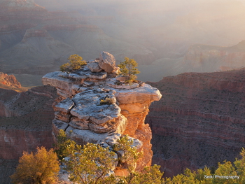 Grand Canyon Morning #12-PA033121