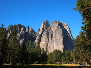 Yosemite -3 #14-D2177678