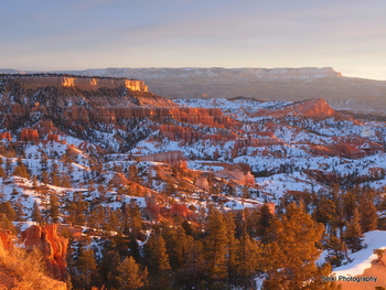 Bryce -8 #14-PC286805