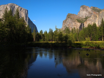 Yosemite -4 #15-D2177687