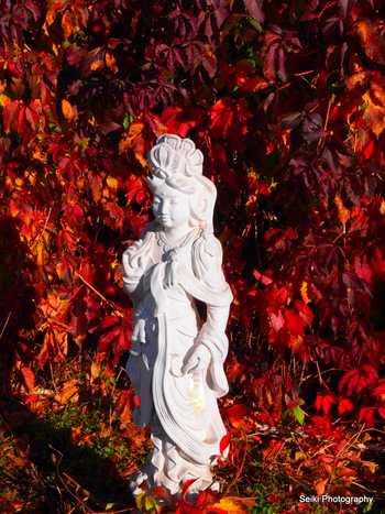 Quan Yin - red leaves #15-PA175975