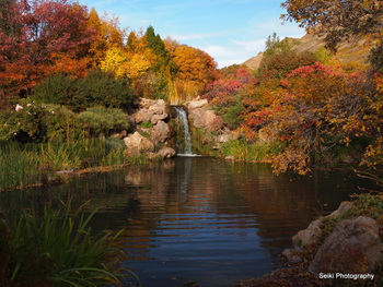 Utah Fall - 20 #18-D2240736