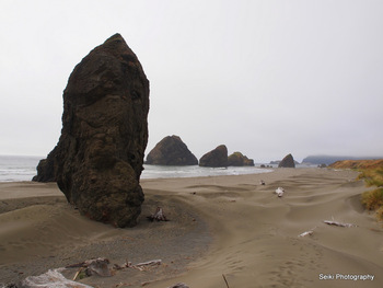 Oregon Coast - 10 #21-P8205358