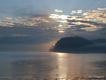 Washington  Coast - 11 #22-P8104655