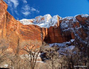 Zion National Park - 1 #27-P1240151