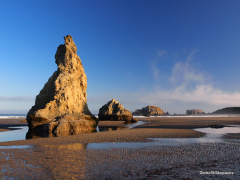 Oregon Coast - 9 #27-P8184991