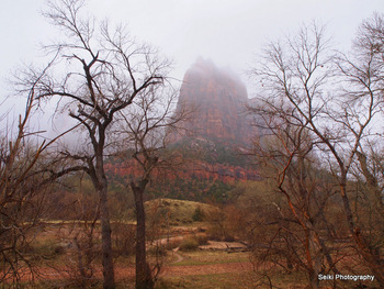 Zion National Park - 3 #77-P2287256