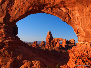 Turrent Arch through South Window Arch #D2106389