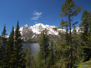 The Teton Range 3 #P6273828