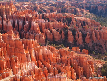 Bryce -6 #PA271489