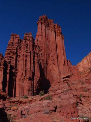 Fisher Towers from Fisher Tower Canyon #PC106579