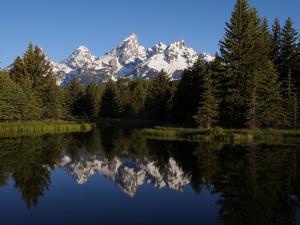 From Schwabacher's Landing - Grand Teton NP #6273796