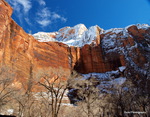 Zion National Park - 1 27-P1240151