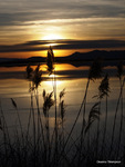 Farmington Bay Sunset 1 2111413