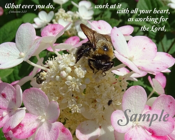 Busy Bee - Lord's Work #BusyBeeWorkingfortheLord