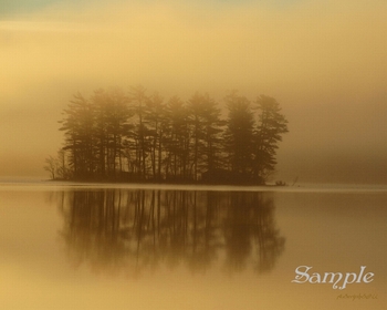 Enchanted Morning - Still Trees #EnchantedMorning-StillTrees