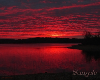 A Fiery Sunrise - Twilight Reds #TwilightReds