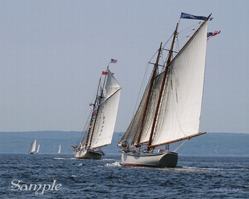 Windjammer's Wake #Schooner-Wake