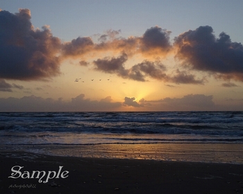 Golden Texas Sunrise #GoldenTexasSunrise