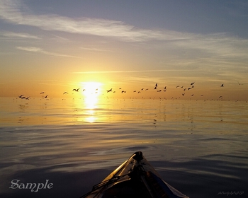 Sunset - Paddle #Sunset-Paddle