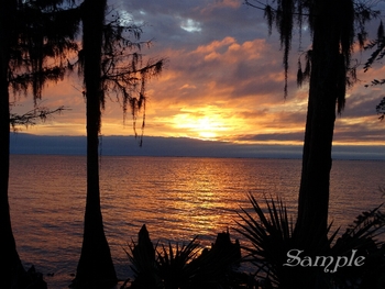 Sunset Southern Splendor #SunsetSouthernSplendor