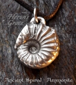 Ancient Spiral - Ammonite Nature-80