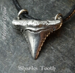 Sharks Tooth - [style B] 08-SharksToothB