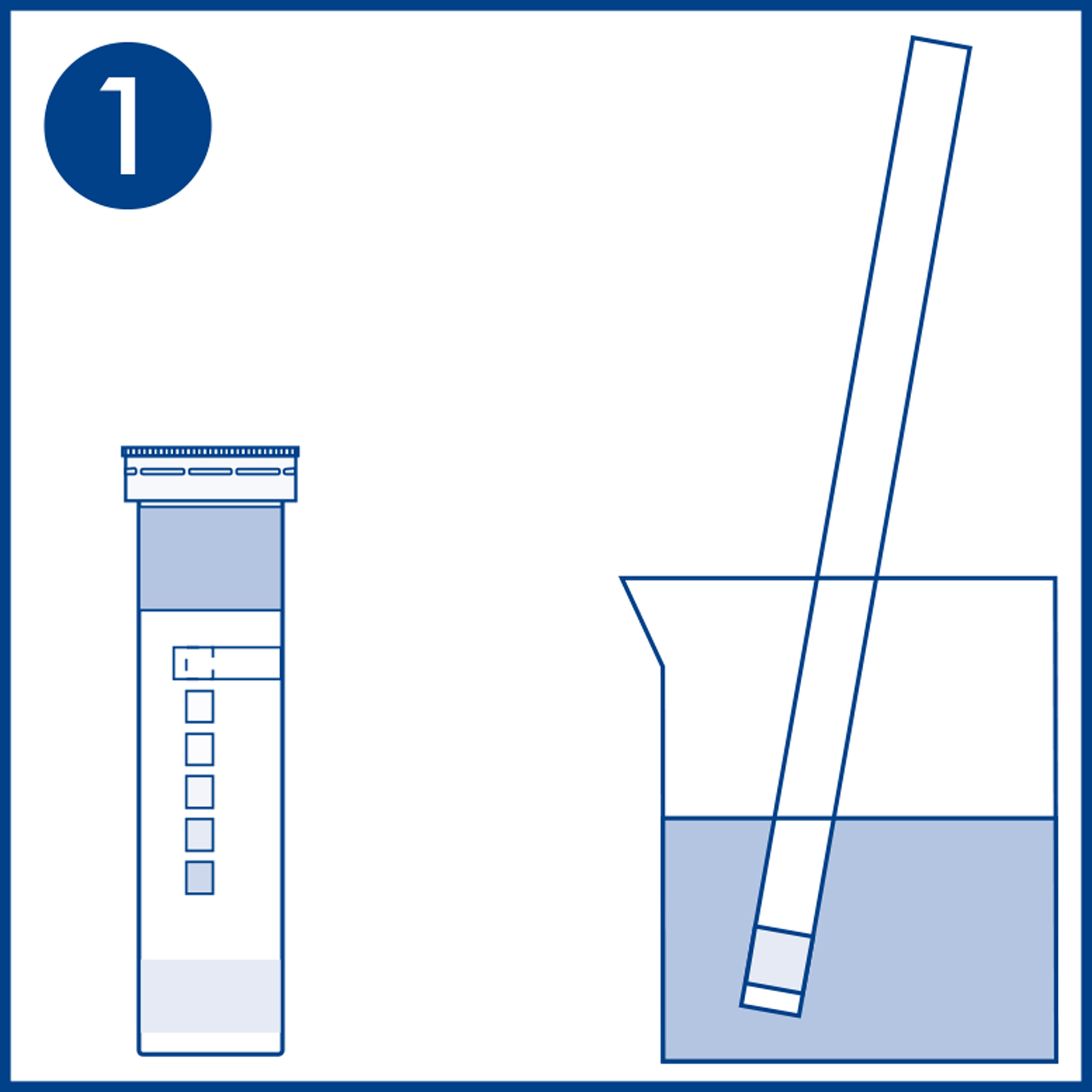 Dip test strip