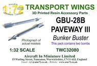 GBU-28B Paveway III Bunker Buster (pack of 2) 3d-printed TWC32080