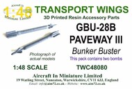  AIM - Transport Wings  1/48 GBU-28B Paveway III Bunker Buster (pack of 2) 3d-printed TWC48080
