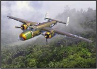  Academy  1/48 B-25D Pacific Theatre USAAF Bomber ACY12328