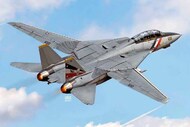 F-14D VF2 Bounty Hunters USN Fighter - Pre-Order Item #ACY12590