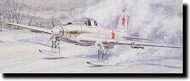  Accurate Miniatures  1/48 Ilyushin Il-2 Sturmovik w/ Ski ATE3409