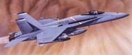 F-18 Hornet Aircraft Large Starter Set w/paint & glue #ARX55313