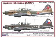 Czechoslovak pilots in Ilyushin Il-2m3s (2) #AMLC2018