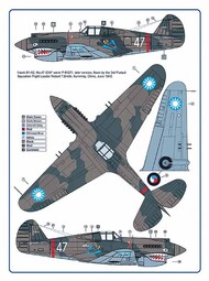 American Flying Tigers Over China, Part II #AMLC4031