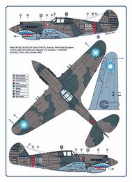 American Flying Tigers Over China, Part III #AMLC4032