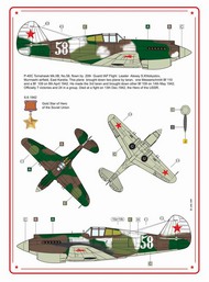  AML Czech Republic  1/48 P-40C. Americans in Stalin's Sky, Part I. (2) AMLC8001