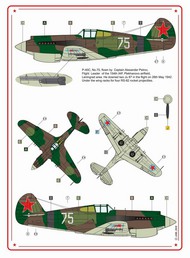  AML Czech Republic  1/48 P-40C Americans in Stalin's Sky, Part 2. (2) AMLC8002