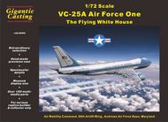 Boeing 747 VC-25A 'Air Force One' #ANIG9002