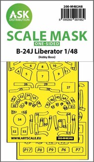 Consolidated B-24J Liberator one-sided express fit mask #200-M48248